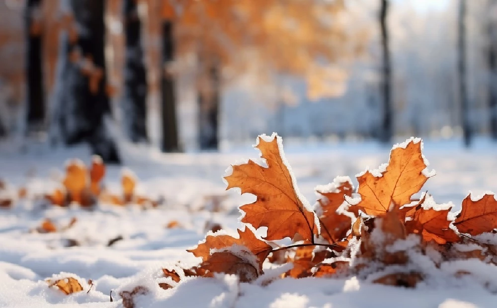 Осадки, туман и гололед: синоптики о погоде на западе Казахстана 10 января